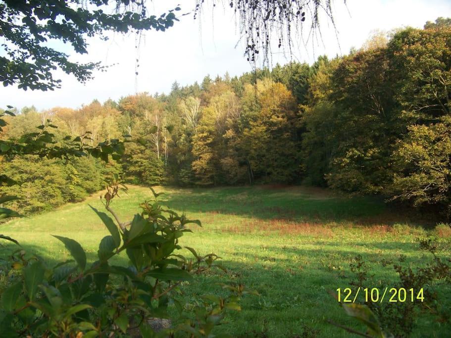 Gartentraum, Feuergrill, Kids-Spielwelt, 4Raeume Hartenstein (Saxony) Exterior foto